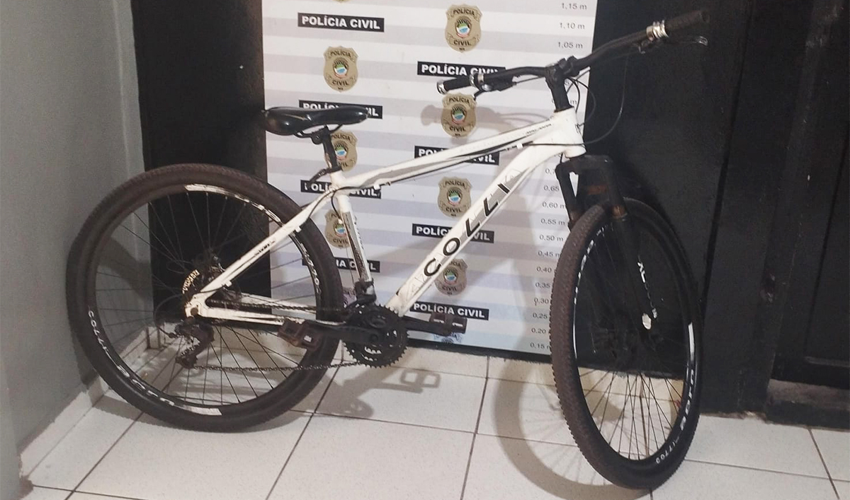 Pol&iacute;cia Civil cumpre mandado de pris&atilde;o, recupera bicicleta furtada e apreende ve&iacute;culo adquirido de forma il&iacute;cita, em Lad&aacute;rio
