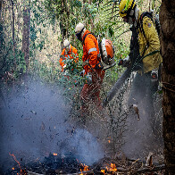 Brigada Uberaba Guat&oacute; atua em conjunto com IHP no combate a inc&ecirc;ndio na Serra do Amolar