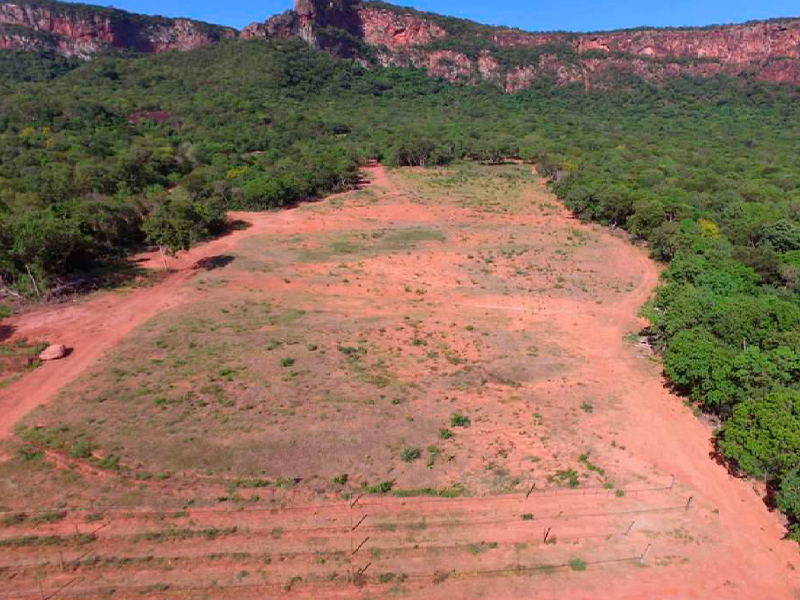 Vin&iacute;cola no Pantanal firma compromisso com o MPMS para recupera&ccedil;&atilde;o ambiental