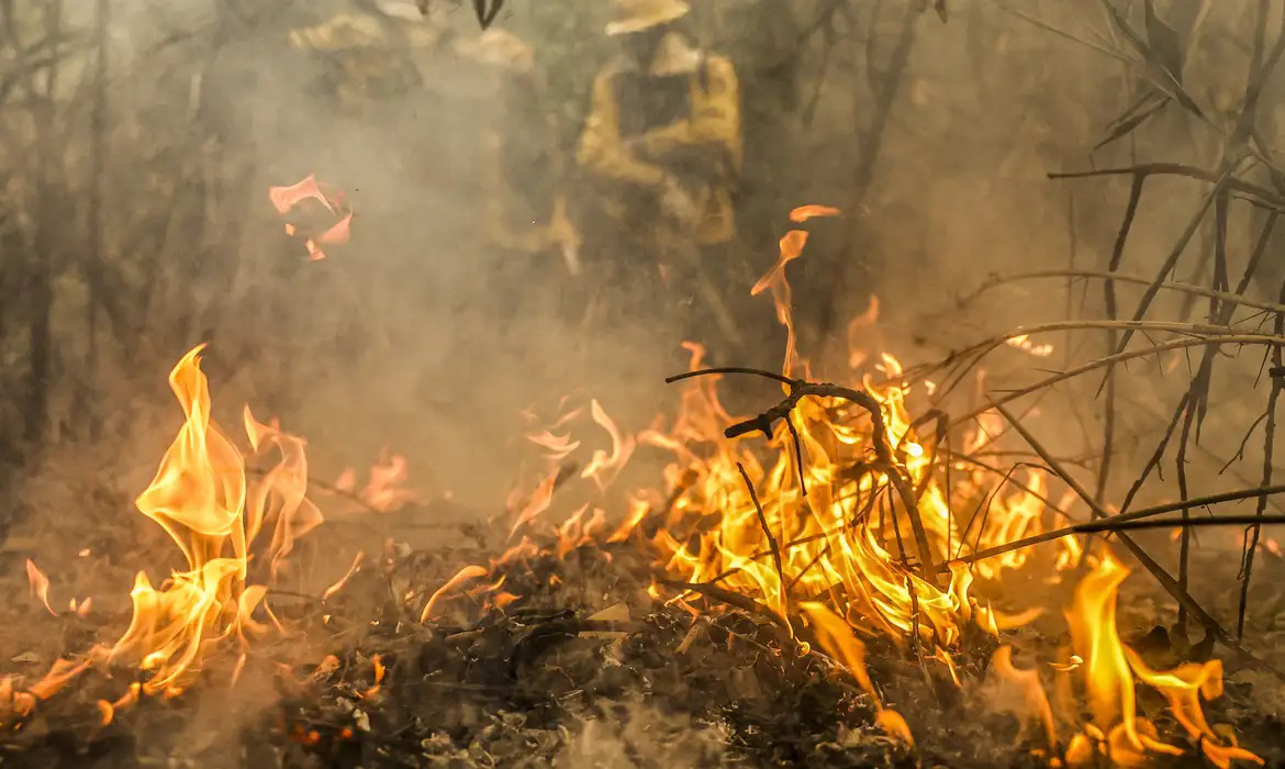 Pantanal &eacute; o bioma mais atingido pelo aumento da temperatura no pa&iacute;s 