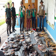 Piracema: com pesca proibida em MS at&eacute; fevereiro do ano que vem, Imasul intensifica fiscaliza&ccedil;&atilde;o