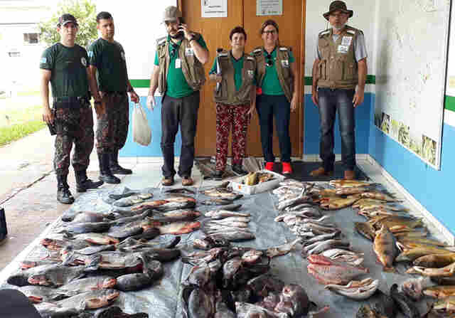 Piracema: com pesca proibida em MS at&eacute; fevereiro do ano que vem, Imasul intensifica fiscaliza&ccedil;&atilde;o