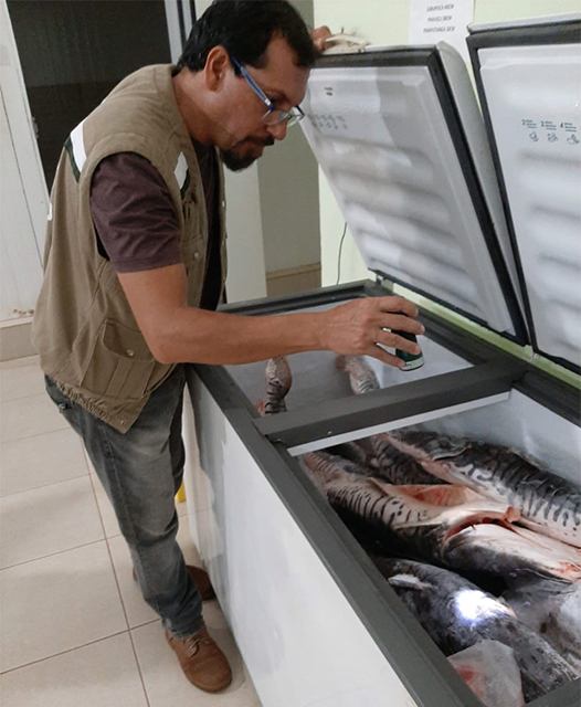 Piracema: com pesca proibida em MS at&eacute; fevereiro do ano que vem, Imasul intensifica fiscaliza&ccedil;&atilde;o