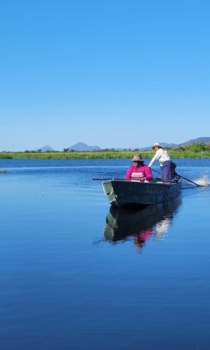 COP30: MPF intensifica atua&ccedil;&atilde;o contra empreendimentos que podem alterar o regime das &aacute;guas do Pantanal