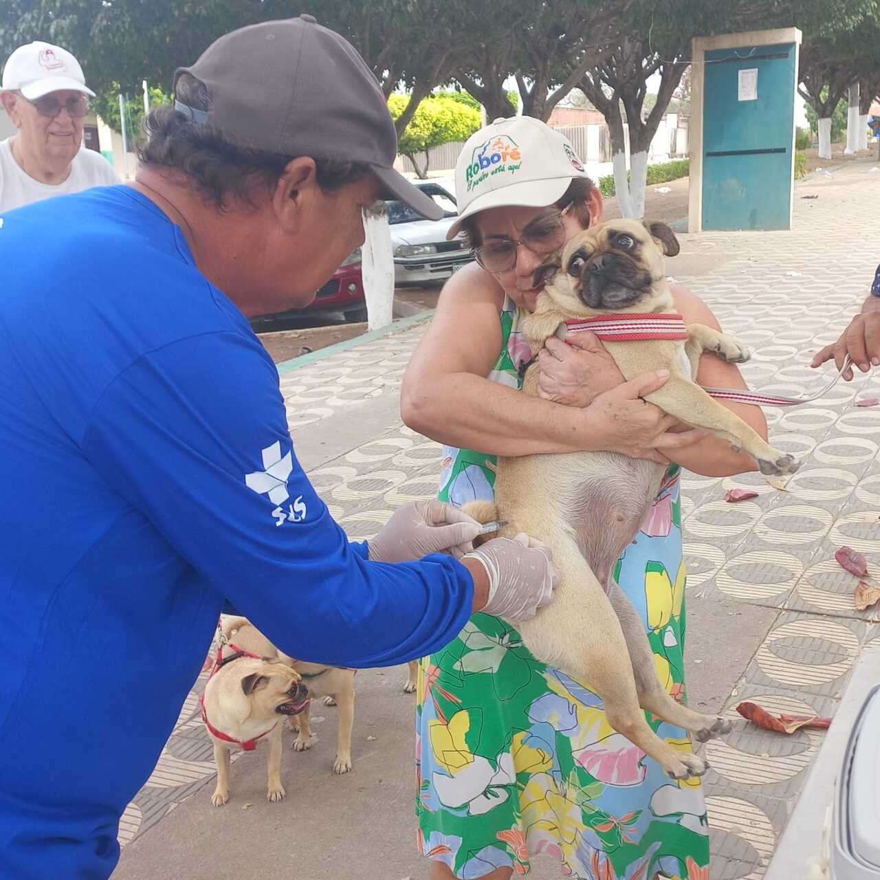 Corumb&aacute; realiza vacina&ccedil;&atilde;o antirr&aacute;bica neste s&aacute;bado com oito pontos fixos de atendimento
