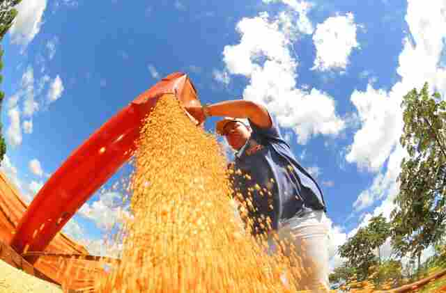Valor Bruto da Produ&ccedil;&atilde;o Agropecu&aacute;ria de Mato Grosso do Sul cresce 23,6% e atinge R$ 76,3 bilh&otilde;es