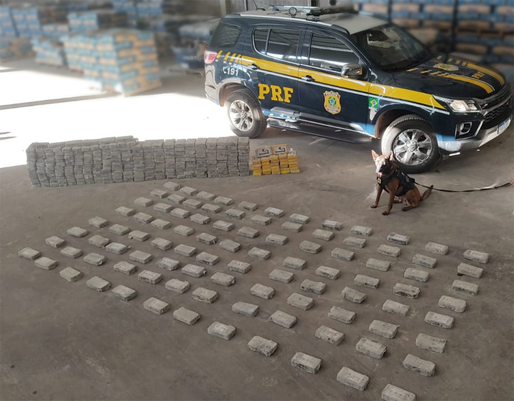 PRF apreende 386 kg de coca&iacute;na escondidos em carga de cimento na BR-262