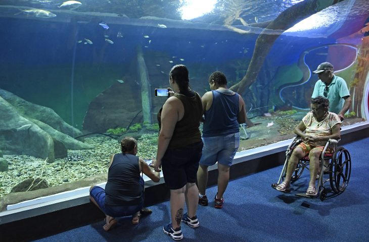 Bioparque Pantanal recebe selo internacional &ldquo;ouro&rdquo; por sustentabilidade e se destaca entre atrativos tur&iacute;sticos mundiais
