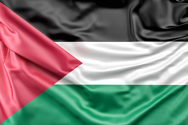C&Acirc;MARA MUNICIPAL REALIZA SESS&Atilde;O DE SOLIDARIEDADE AO POVO PALESTINO