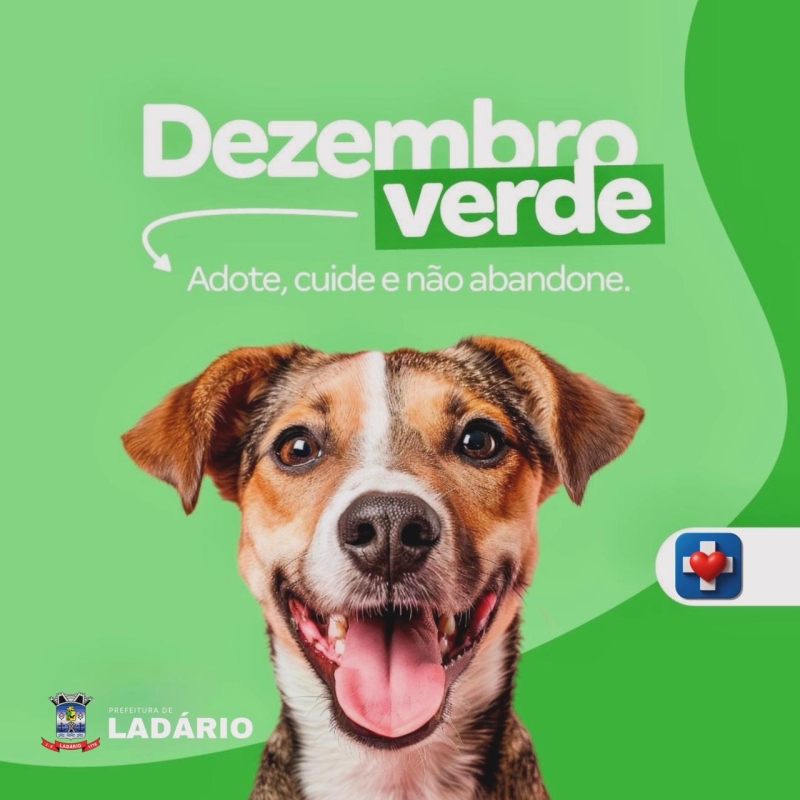 Secretaria de Sa&uacute;de alerta para combate ao abandono de animais durante o Dezembro Verde