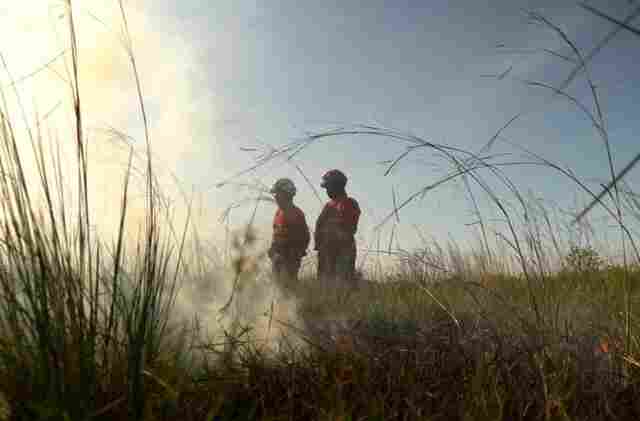 Opera&ccedil;&atilde;o Pantanal 2025 apresenta balan&ccedil;o com redu&ccedil;&atilde;o expressiva em focos de inc&ecirc;ndios e hectares afetados