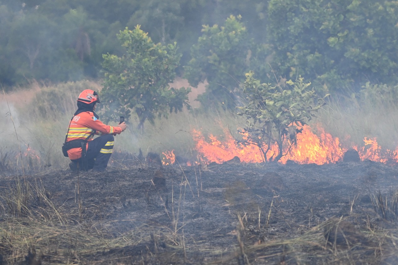 Opera&ccedil;&atilde;o Pantanal 2025 apresenta balan&ccedil;o com redu&ccedil;&atilde;o expressiva em focos de inc&ecirc;ndios e hectares afetados