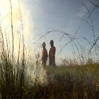 Opera&ccedil;&atilde;o Pantanal 2025 apresenta balan&ccedil;o com redu&ccedil;&atilde;o expressiva em focos de inc&ecirc;ndios e hectares afetados