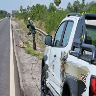 Trecho cr&iacute;tico da BR-262 para a biodiversidade passa a ter plano de migita&ccedil;&atilde;o para redu&ccedil;&atilde;o de impactos