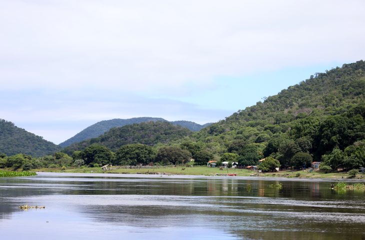 Aprovada a cria&ccedil;&atilde;o da MS Ativos Ambientais, empresa que passa a gerir o patrim&ocirc;nio natural do Estado