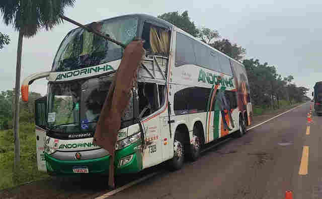 Motorista de &ocirc;nibus que causou a morte de m&eacute;dica e idoso na BR-262 &eacute; indiciado por homic&iacute;dio 