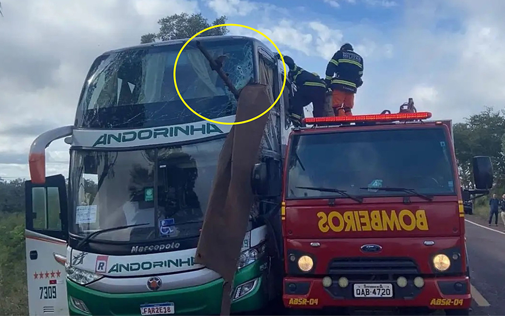 Motorista de &ocirc;nibus que causou a morte de m&eacute;dica e idoso na BR-262 &eacute; indiciado por homic&iacute;dio 