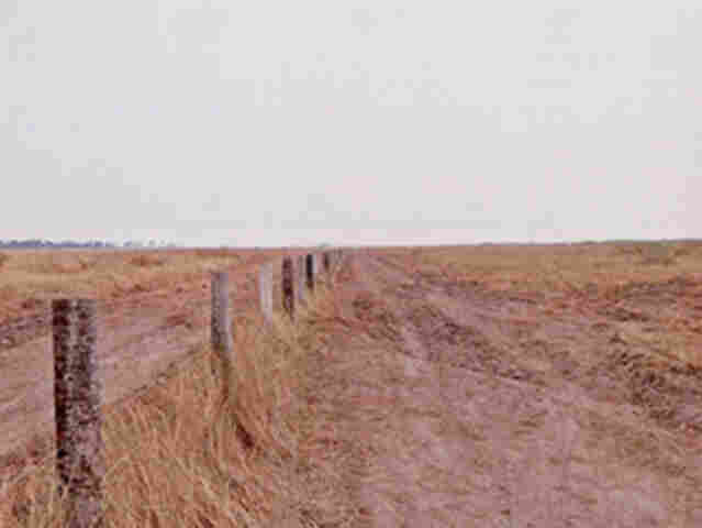 Inqu&eacute;rito civil do MPMS apura queimada ilegal em mais de 2,2 mil hectares de fazenda em Corumb&aacute;