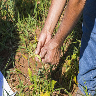 Agricultores familiares da regi&atilde;o de Porto Morrinho ter&atilde;o atendimento de microcr&eacute;dito no dia 22