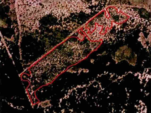 MPMS apura supress&atilde;o irregular de vegeta&ccedil;&atilde;o nativa no Pantanal em Corumb&aacute;