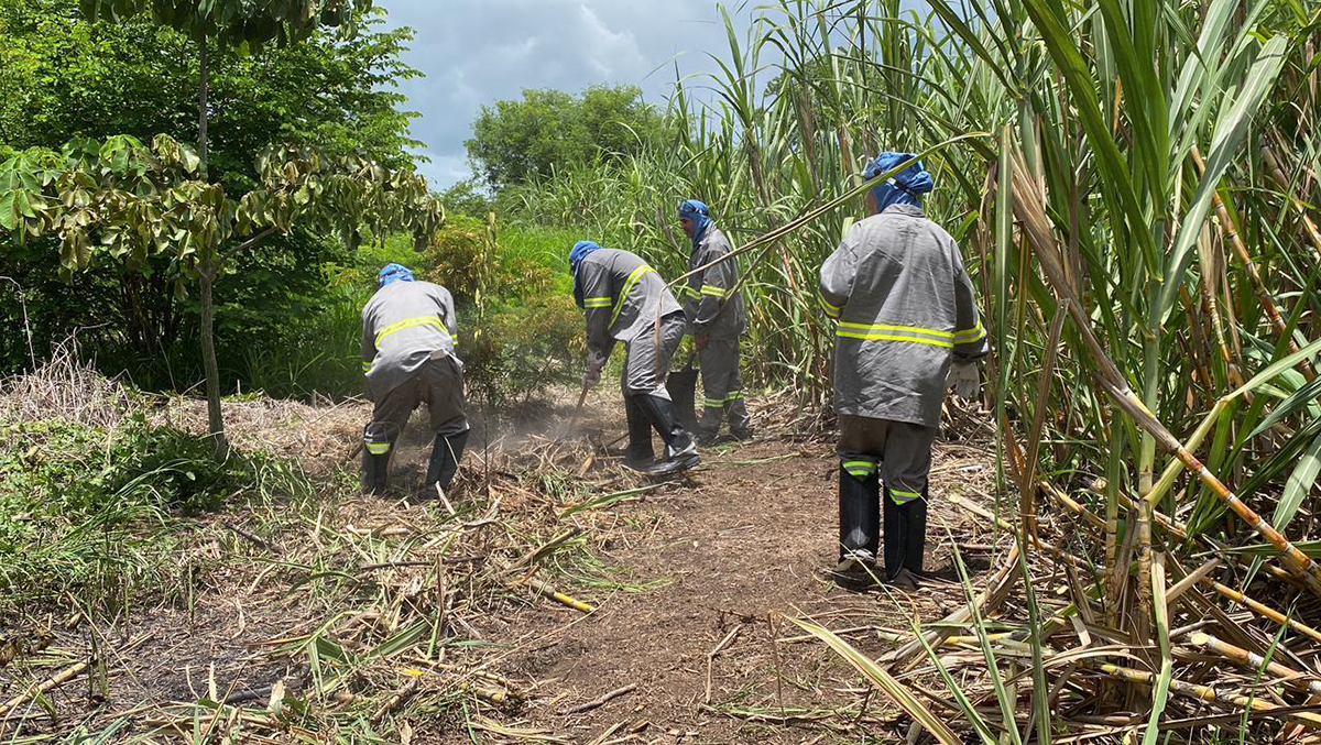 Prefeitura de Corumb&aacute; forma primeira brigada comunit&aacute;ria contra inc&ecirc;ndios no Pantanal