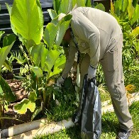 MS se antecipa, alinha estrat&eacute;gias com munic&iacute;pios e refor&ccedil;a controle do Aedes aegypti para 2026