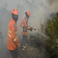 MS refor&ccedil;a planejamento contra o fogo e mobiliza Corpo de Bombeiros no combate a focos no Pantanal