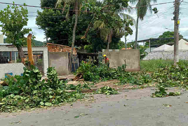 Bombeiros realizam cortes de &aacute;rvores que obstru&iacute;ram resid&ecirc;ncias em Corumb&aacute; ap&oacute;s temporal
