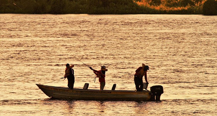 Temporada de pesca esportiva tem in&iacute;cio com pesque e solte e a&ccedil;&otilde;es &agrave; comunidade