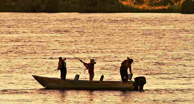 Temporada de pesca esportiva tem in&iacute;cio com pesque e solte e a&ccedil;&otilde;es &agrave; comunidade