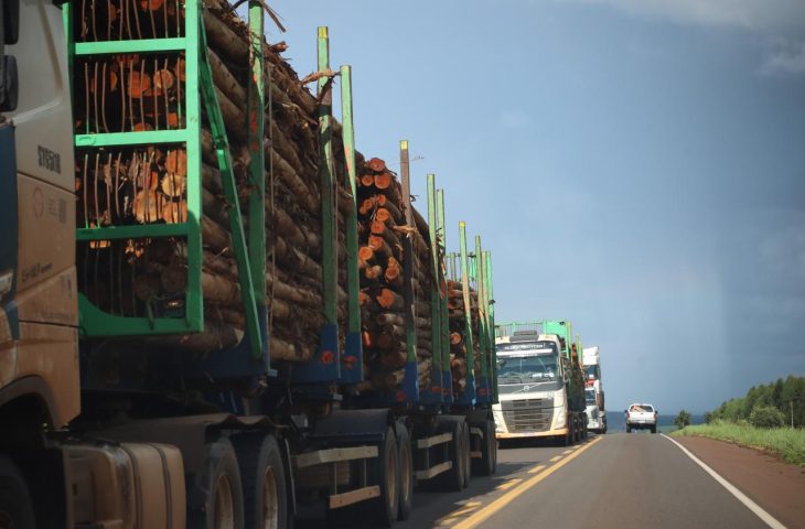 Rota da Celulose: concess&atilde;o garante seguran&ccedil;a vi&aacute;ria e inova&ccedil;&otilde;es a Mato Grosso do Sul