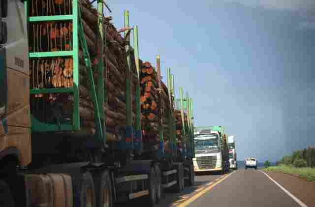 Rota da Celulose: concess&atilde;o garante seguran&ccedil;a vi&aacute;ria e inova&ccedil;&otilde;es a Mato Grosso do Sul