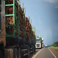 Rota da Celulose: concess&atilde;o garante seguran&ccedil;a vi&aacute;ria e inova&ccedil;&otilde;es a Mato Grosso do Sul
