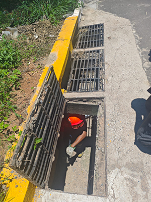 Bombeiros resgatam filhotes de gatos presos em tubula&ccedil;&atilde;o de &aacute;gua pluviais em Corumb&aacute;