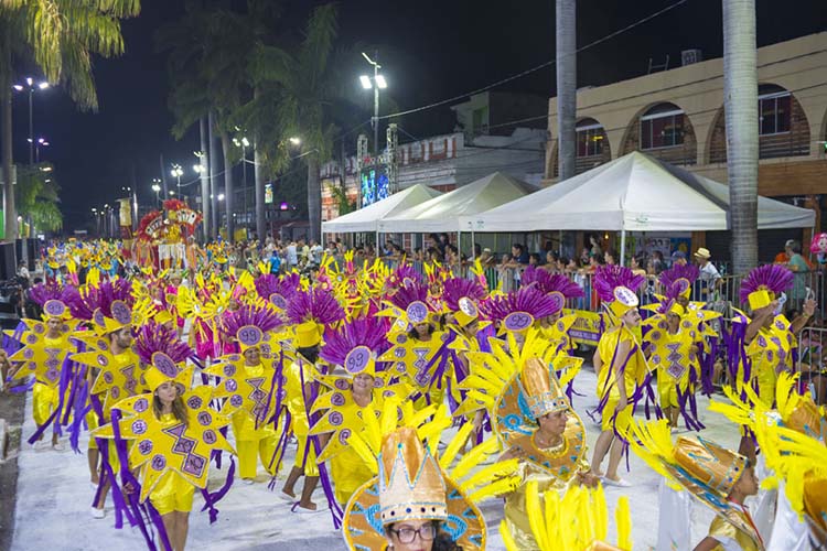 Acad&ecirc;micos do Pantanal trouxe enredo sobre jogos e destino para a avenida