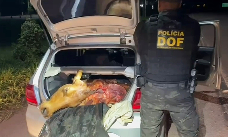 V&Iacute;DEO: DOF prende trio com arma e carne bovina de abigeato em Corumb&aacute;