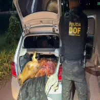 V&Iacute;DEO: DOF prende trio com arma e carne bovina de abigeato em Corumb&aacute;