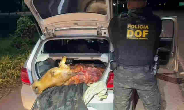 V&Iacute;DEO: DOF prende trio com arma e carne bovina de abigeato em Corumb&aacute;