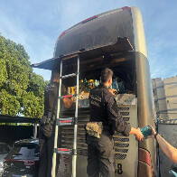 PF apreende 745 kg de coca&iacute;na em &ocirc;nibus que realizava transporte clandestino de bolivianos 