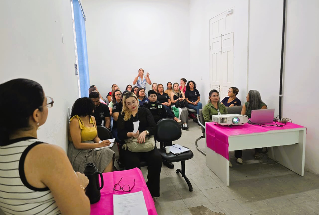 Rede de Enfrentamento &agrave; Viol&ecirc;ncia Contra a Mulher fortalece atua&ccedil;&atilde;o conjunta