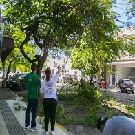 Corumb&aacute; inicia planejamento estrat&eacute;gico in&eacute;dito para qualificar arboriza&ccedil;&atilde;o urbana