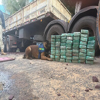 Com c&atilde;es farejadores PRF apreende 215 Kg de coca&iacute;na em carreta de min&eacute;rio que saiu de Corumb&aacute;