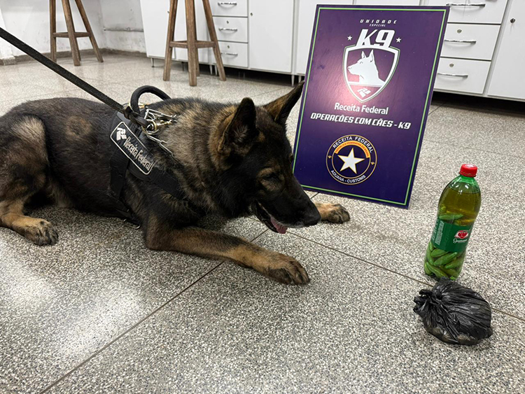 &Ocirc;nibus clandestino com coca&iacute;na no banheiro e mercadorias foi interceptado em Corumb&aacute;