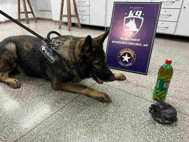 &Ocirc;nibus clandestino com coca&iacute;na no banheiro e mercadorias foi interceptado em Corumb&aacute;