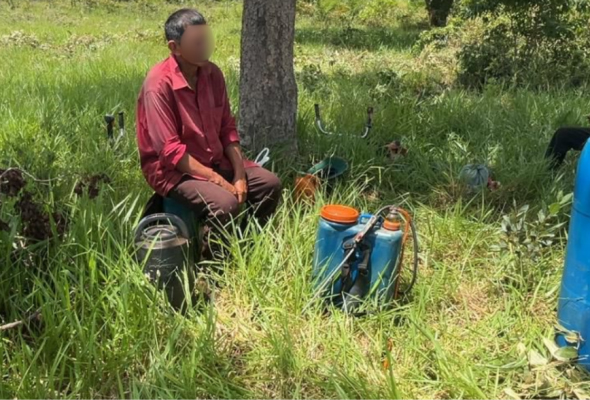 For&ccedil;a-tarefa resgata 12 trabalhadores no Pantanal de MS e MPT assegura repara&ccedil;&atilde;o de quase R$ 2 mi aos trabalhadores e &agrave; sociedade