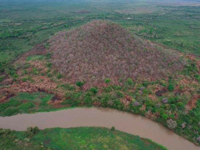 MPMS investiga inc&ecirc;ndio que destruiu 20 hectares de vegeta&ccedil;&atilde;o nativa em APP do Pantanal