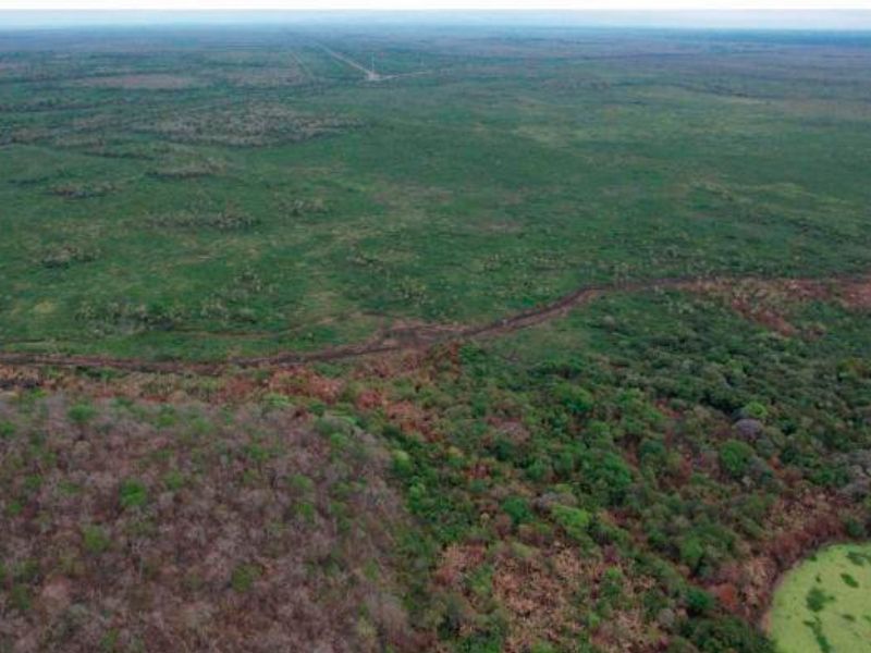 MPMS investiga inc&ecirc;ndio que destruiu 20 hectares de vegeta&ccedil;&atilde;o nativa em APP do Pantanal