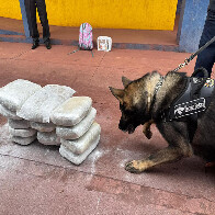 Passageira de 19 anos &eacute; detida em &ocirc;nibus na Rodovia Ram&atilde;o Gomes trecho da BR-262 com 15 kg de skunk