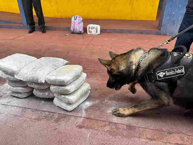 Passageira de 19 anos &eacute; detida em &ocirc;nibus na Rodovia Ram&atilde;o Gomes trecho da BR-262 com 15 kg de skunk