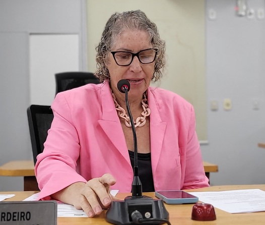 Programa Corumb&aacute; Mais Mulher &eacute; sugerido por Nanah, na C&acirc;mara